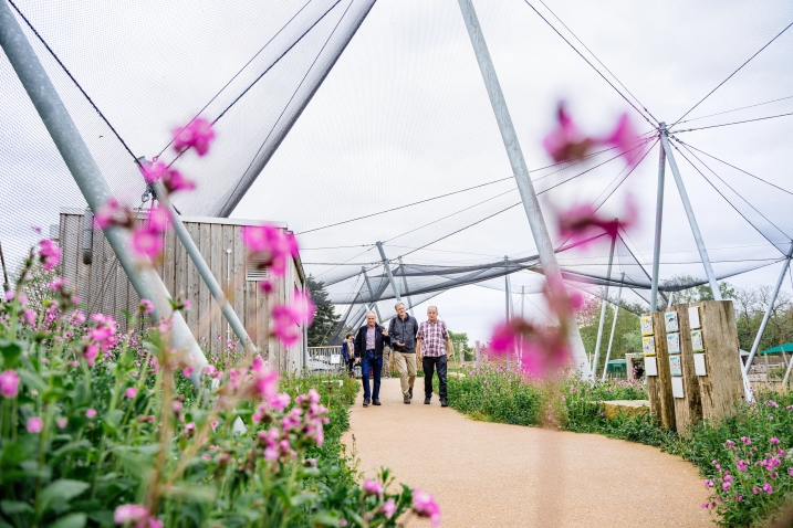 Waterscapes Aviary at Slimbridge Wetland Centre, image credit Clem Stevens.jpg